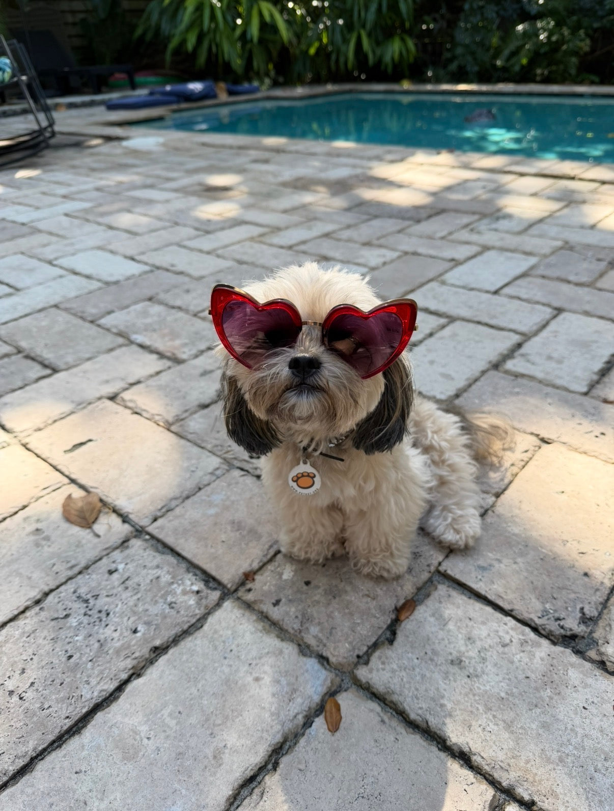 Married Material Babe