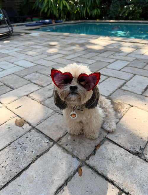 Married Material Babe