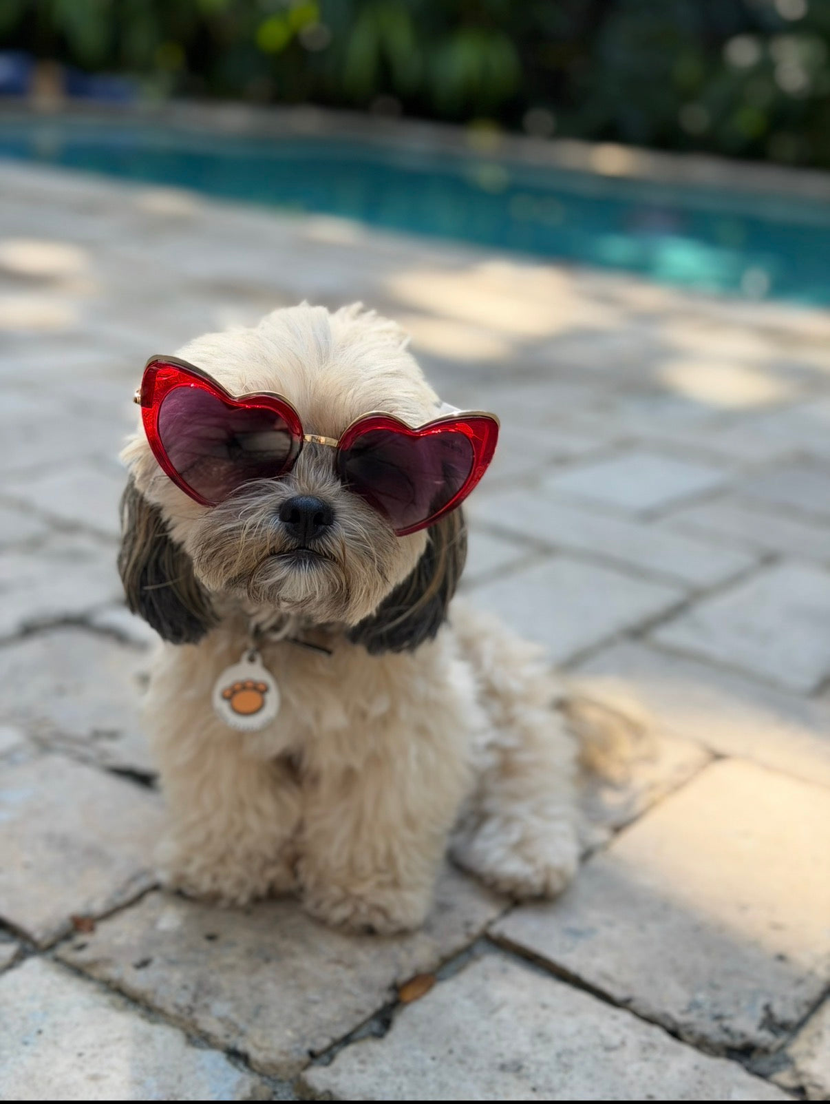 Married Material Babe