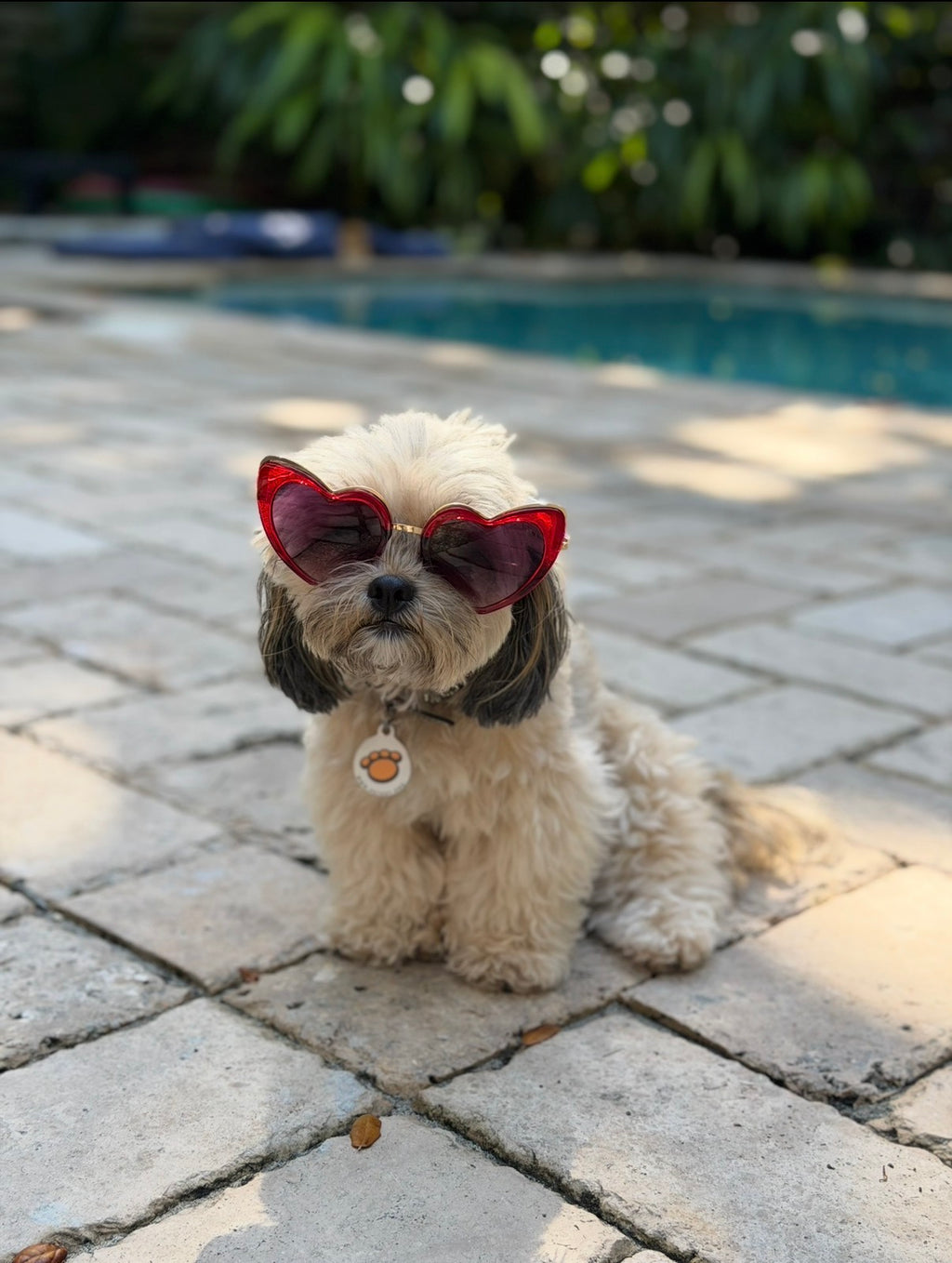 Married Material Babe