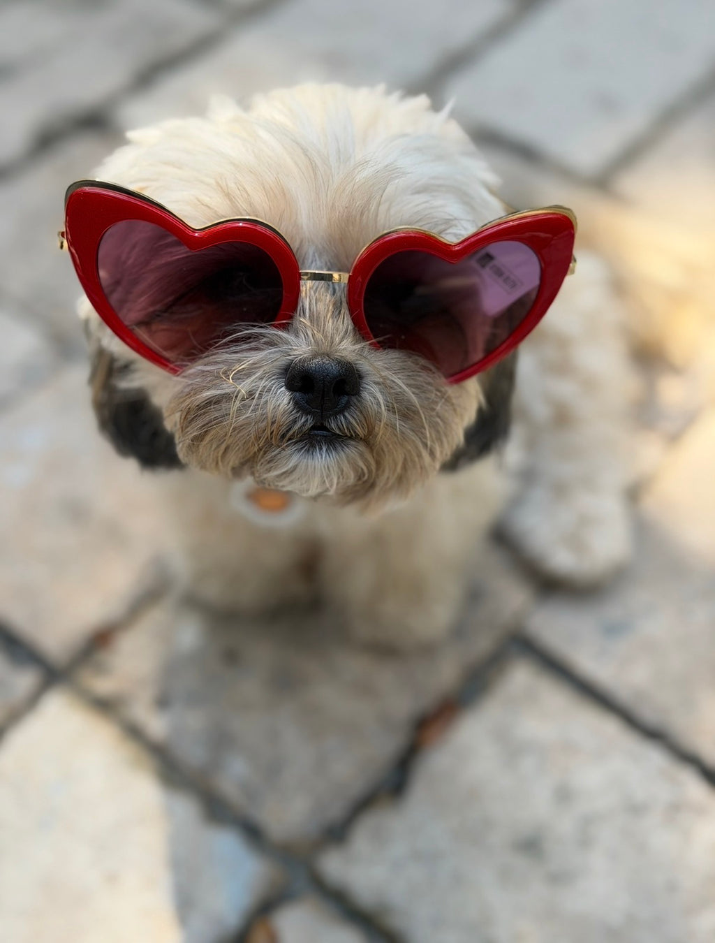 Married Material Babe