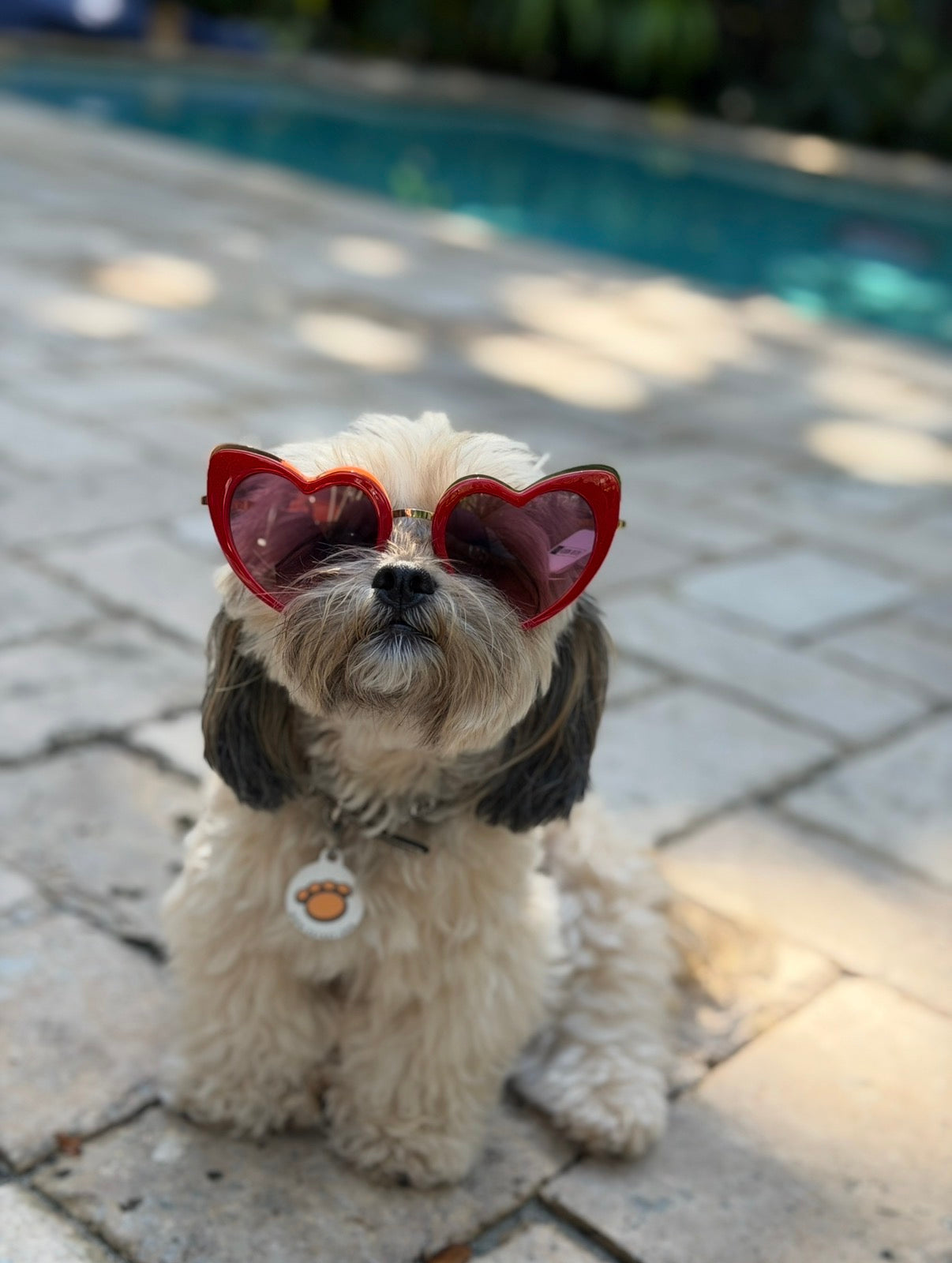 Married Material Babe