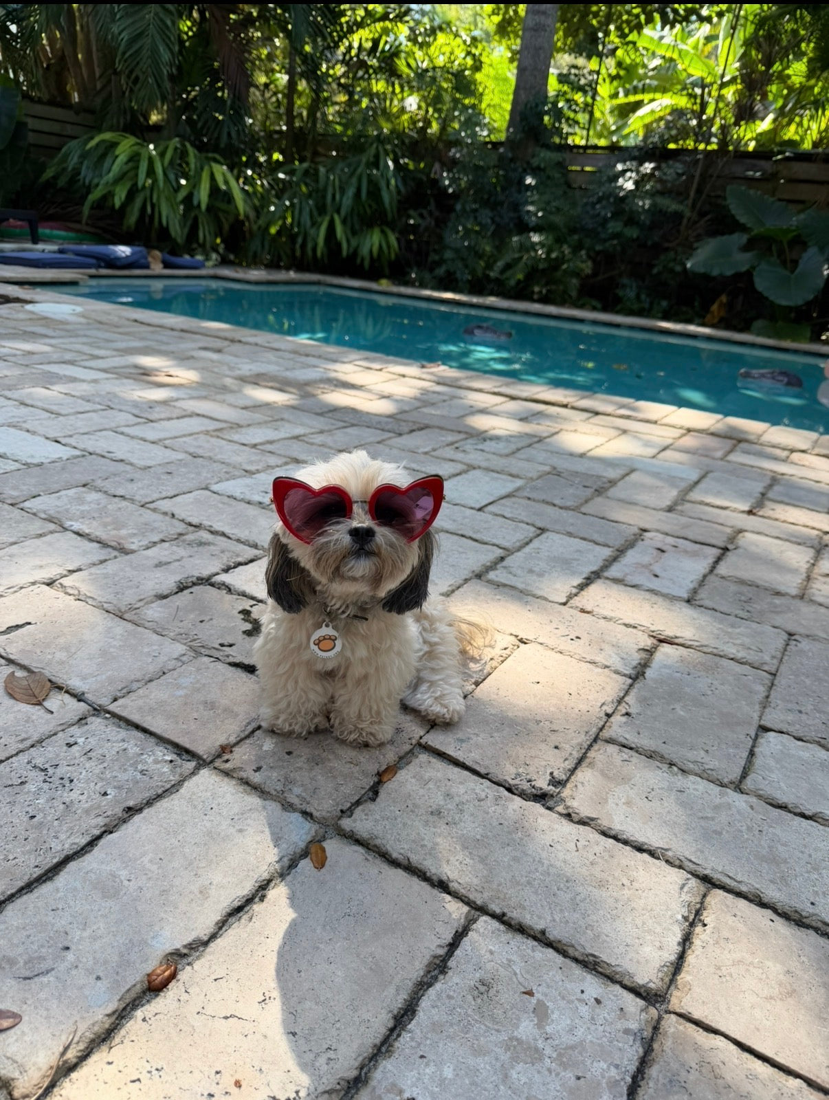 Married Material Babe