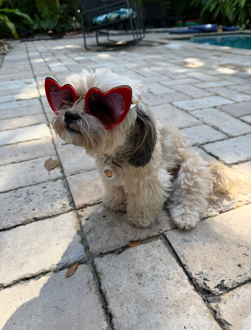 Married Material Babe