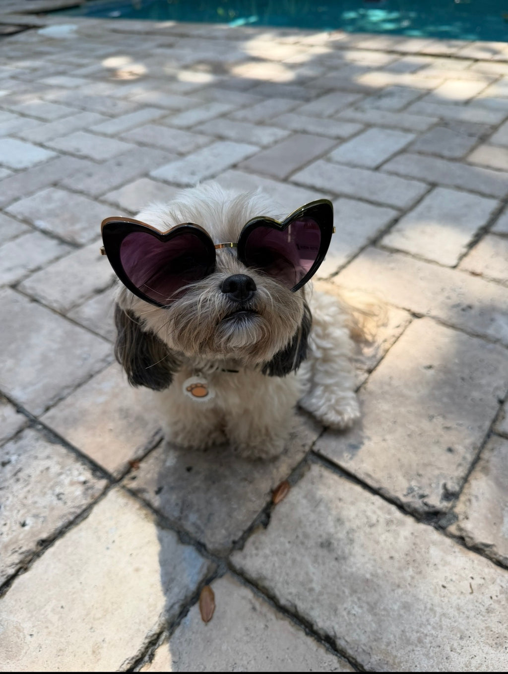 Married Material Babe