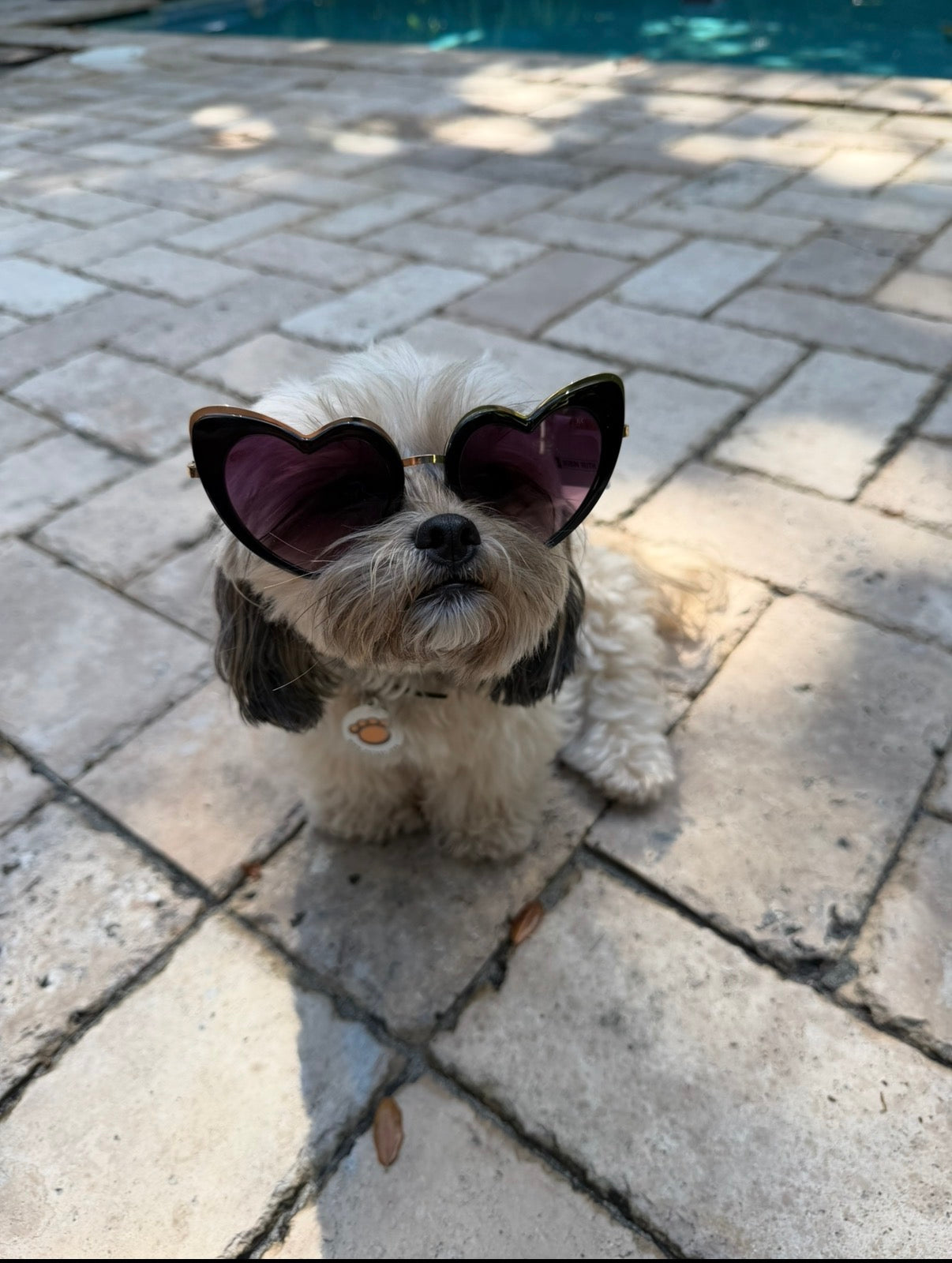 Married Material Babe