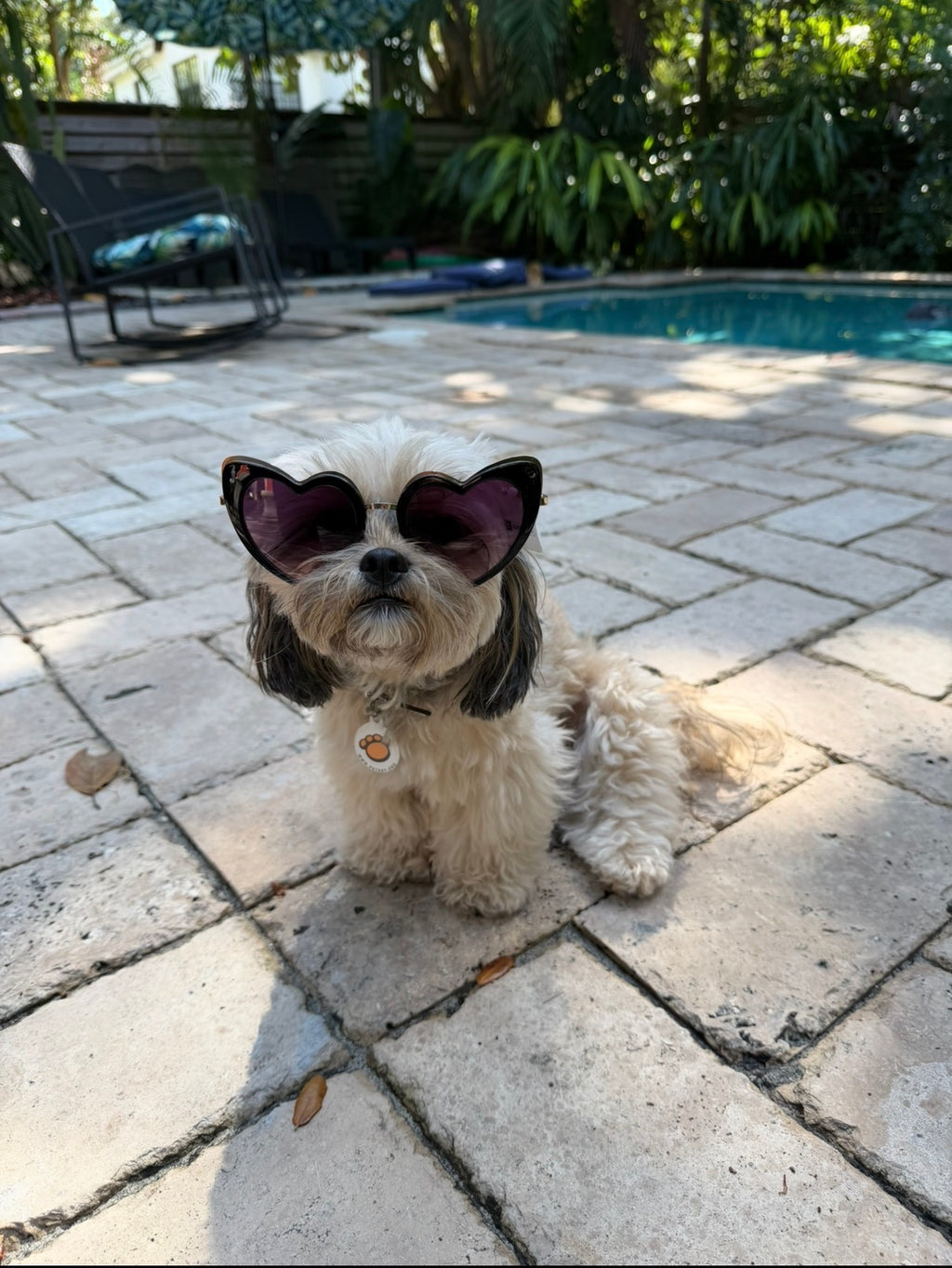 Married Material Babe