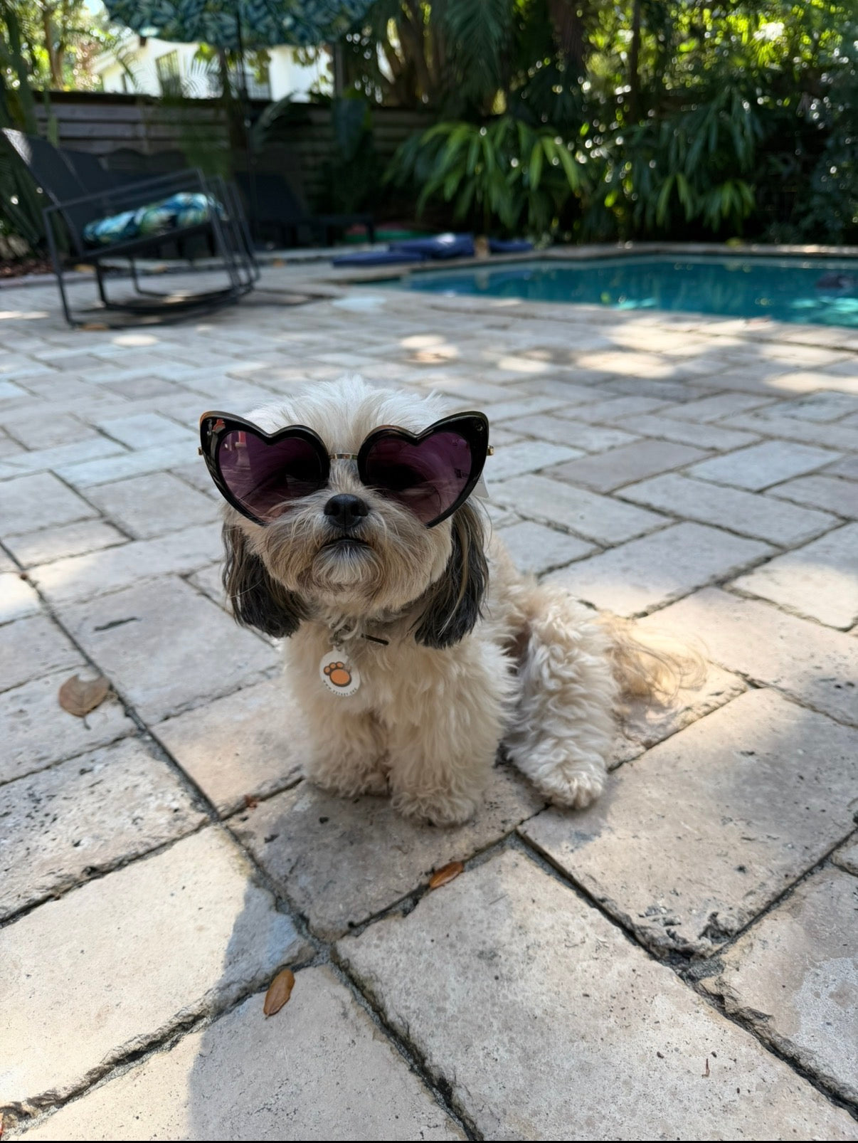 Married Material Babe