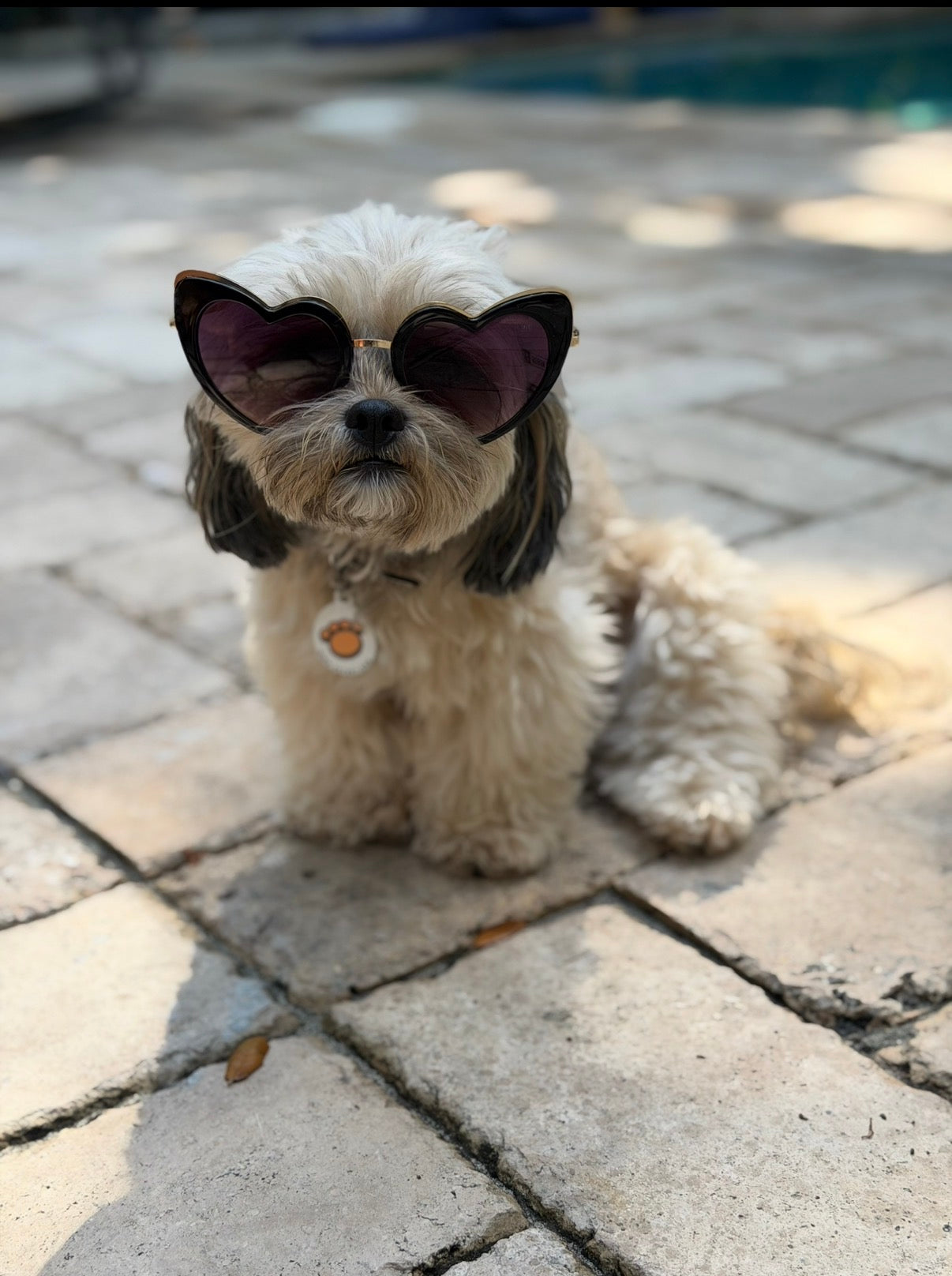 Married Material Babe