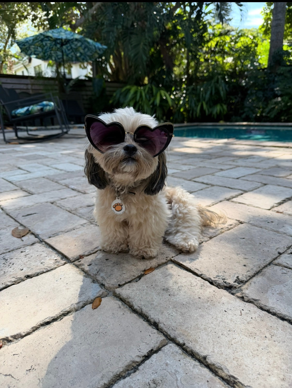 Married Material Babe